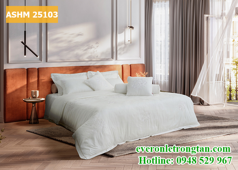 Bộ chăn ga gối Artemis ASHM 25103