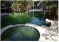 Nước bể bơi bị xanh rêu