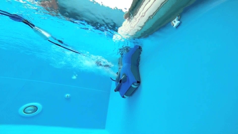 Robot Dolphin luôn là lựa chọn hàng đầu về tiết kiệm chi phí