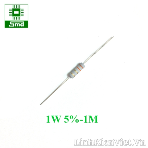 Điện trở công suất 1W 5% - 1M