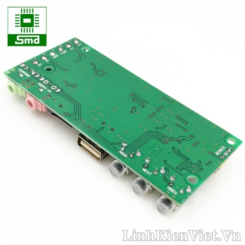 Module ClassD 2x15W có USB