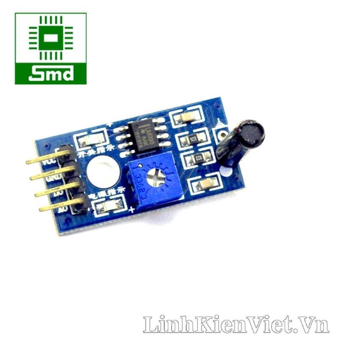 Module cảm biến rung