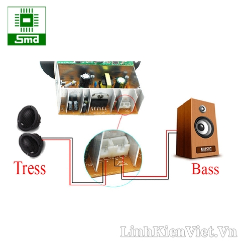 Module Loa USB Crown 220V