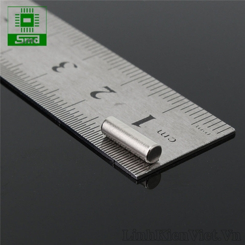 Nam châm đất hiếm 3x10mm