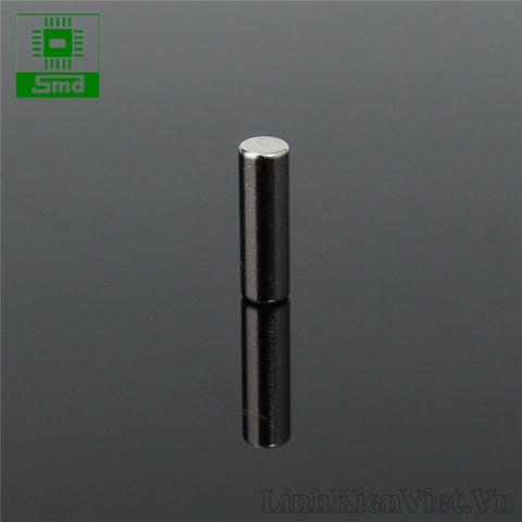 Nam châm đất hiếm 3x10mm