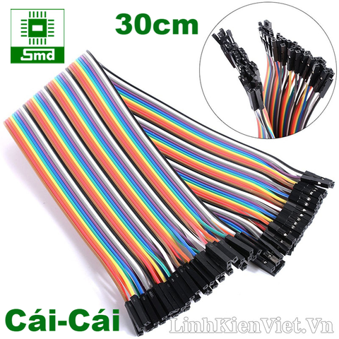 Dây cắm test board cái-cái 30cm (2.54mm)