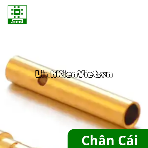 Chân cắm nhanh bắp chuối 4mm mạ vàng