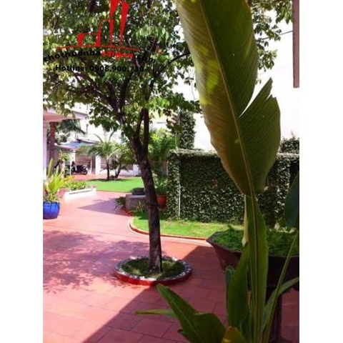 cho thuê biệt thự sân vườn phường an phú , quận 2, giá  1500$/thángg