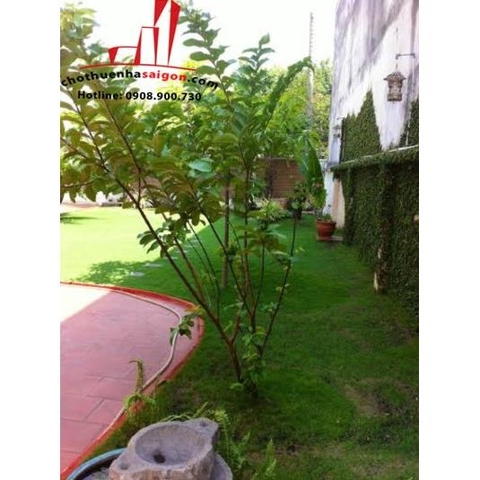 cho thuê biệt thự sân vườn phường an phú , quận 2, giá  1500$/thángg