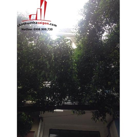 nhà nguyên căn mặt tiền đường xuân hồng quận tân bình, giá cho thuê:35tr/tháng