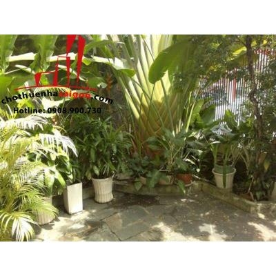 Cho thuê villa quận 1, mặt tiền đường Đặng Dung, giá: 4.500$