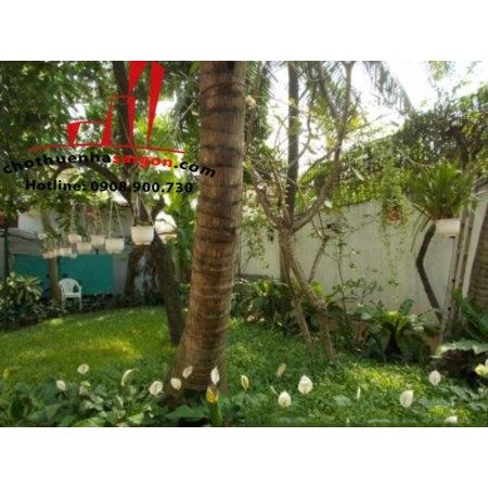 cho thuê biệt thự quận 2, đường đặng hữu phổ,giá 3000$