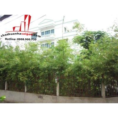 cho thuê biệt thự phường bình an quận 2, giá cho thuê:2500$/tháng