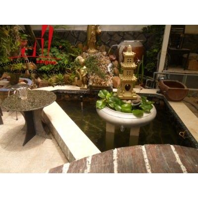 cho thuê biệt thự mini đường trần não, gần bờ sông quận 2, giá 1200$/tháng