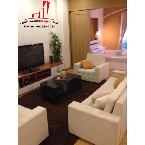 cần cho thuê căn hộ quận 1, căn hộ  Serviced Apartment đường lê thánh tôn
