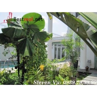 cho thuê biệt thự quận 2, khu giồng ông tố giá cho thuê:1200$/tháng