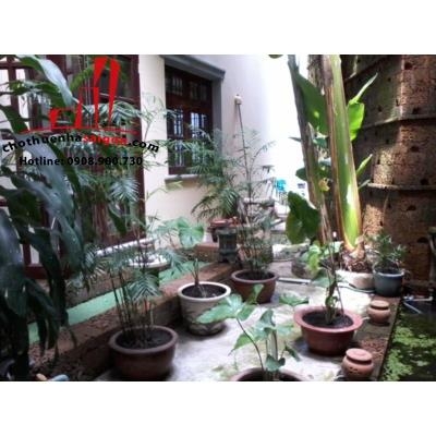 cho thuê hoặc bán biệt thự quận phú nhuận, đường phan đăng lưu