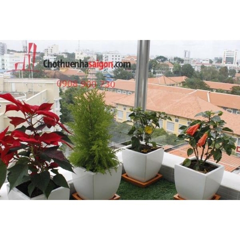 cho thuê căn hộ cao cấp chung cư 107 trương định, quận 3, căn lầu 8, giá 1100$