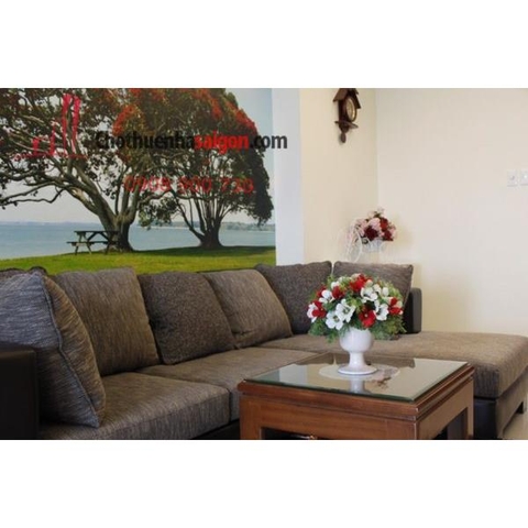 cho thuê căn hộ cao cấp chung cư 107 trương định, quận 3, căn lầu 8, giá 1100$