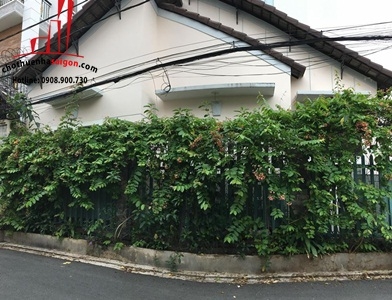 cho thuê villa mini đường đỗ quang, phường thảo điền quận 2