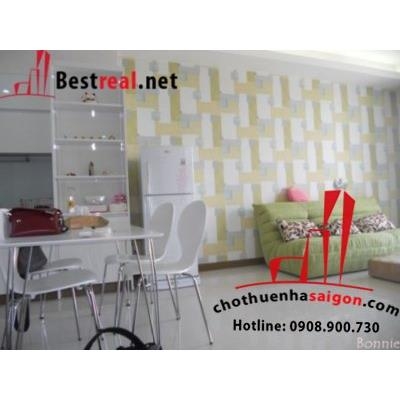 cho thuê căn hộ Saigon Airport Plaza Quận tân bình, lầu 10 giá 700$