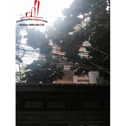 cho thuê nhà nguyên căn đường lam sơn, quận tân bình giá cho thuê:2000$/tháng