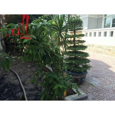 cần cho thuê biệt thự đường trần não quận 2, giá cho thuê:1800$/tháng