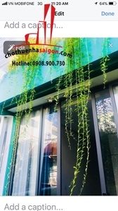 cho thuê nhà quận 1, nhà đường trần doãn khanh giá cho thuê:2000$/tháng