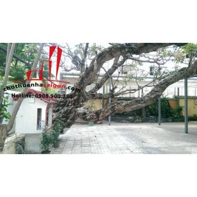 villa cho thuê mặt tiền đường Nguyễn Đình Chiểu, Quận 1.