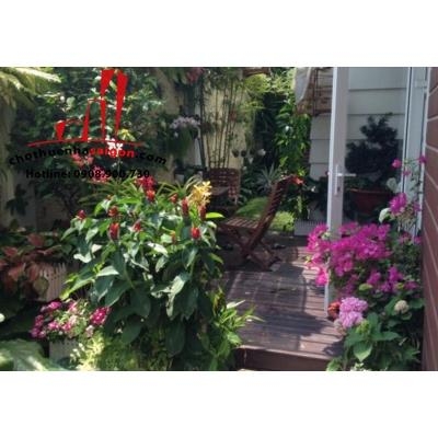 biệt thự quận 2 cho thuê, khu biệt thự kinh tế an phú giá cho thuê:50tr/tháng