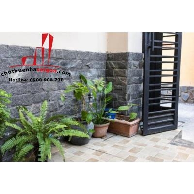 cho thuê nhà nguyên căn Nguyễn Văn Nguyễn, phường Tân Định, Quận 1,