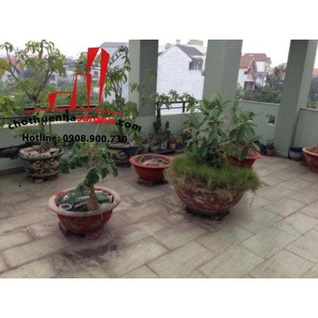 cần cho thuê nhà nguyên căn khu dân cư  Sông Giồng quận 2