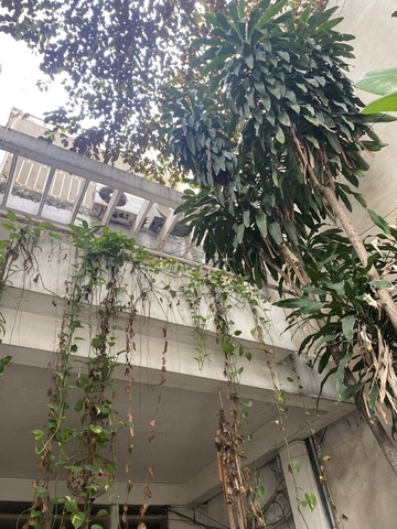 cho thuê nhà quận 1, đường nguyễn bỉnh khiêm giá cho thuê 1300$/tháng