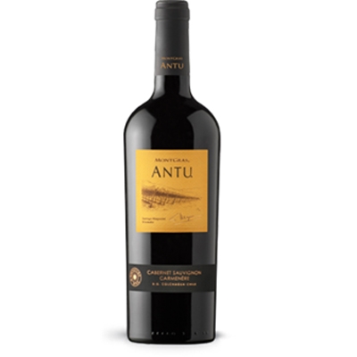 Rượu vang chile Antu Cabernet Sauvignon, montgras