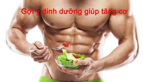 Chia sẻ dinh dưỡng giúp tăng cơ bắp 1 cách hiệu quả nhất