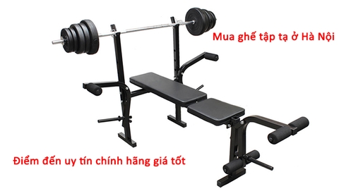 Mua ghế tập tạ ở Hà Nội - Điểm đến uy tín chính hãng giá tốt