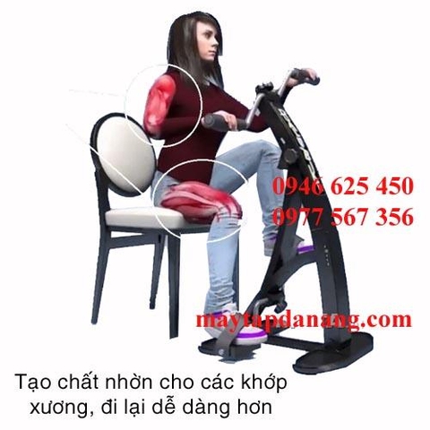 Xe đạp phục hồi chức năng Dual Bike