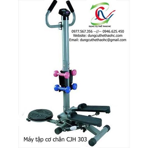 Máy tập cơ chân CJH 303