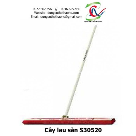 Cây lau sàn S30520