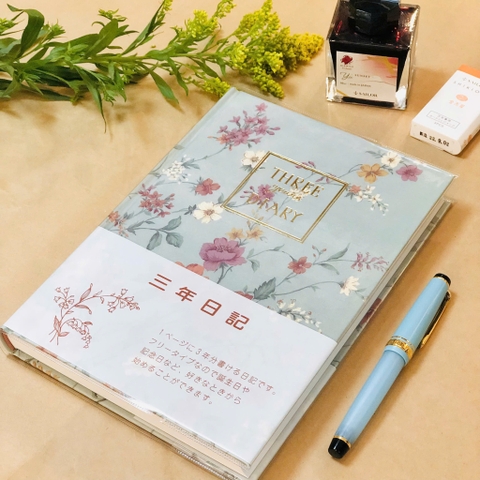 SỔ NHẬT KÝ A5 APICA 3 YEAR D309