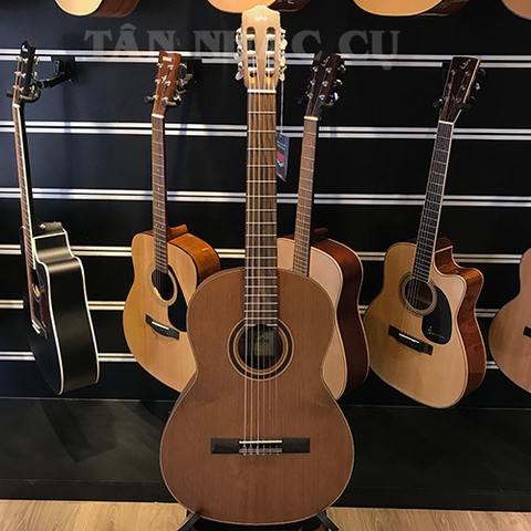 Đàn Guitar Classic Cordoba C3M