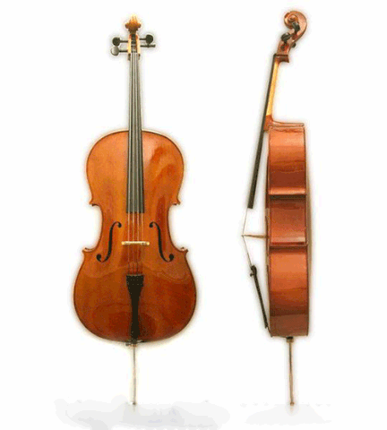 Đàn Cello Scott Cao STC150