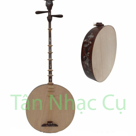 Đàn Nguyệt TMN30