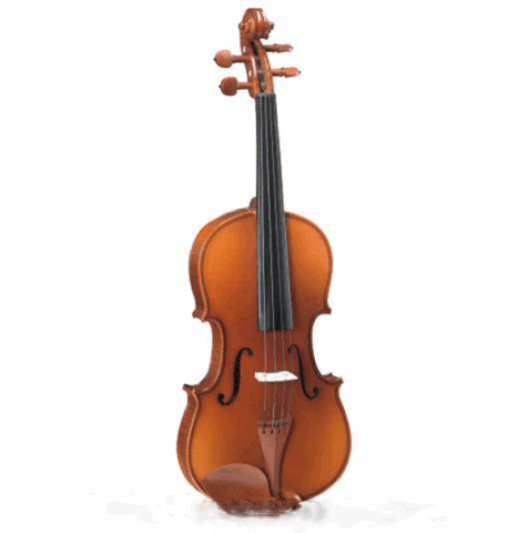 Đàn Violin Carlo Giordan