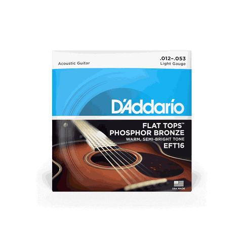 Dây Đàn Guitar Acoustic D'Addario EFT16