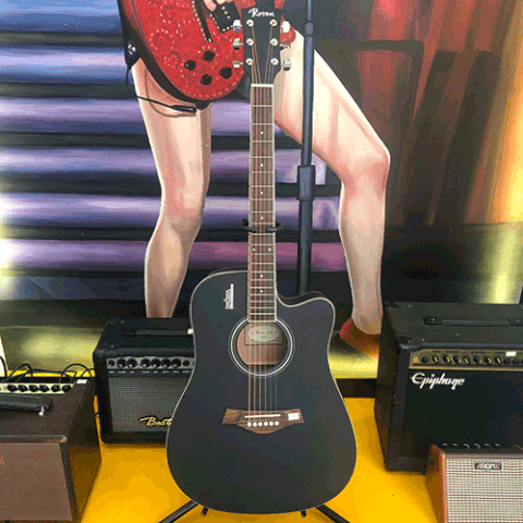 Đàn Guitar Acoustic Rosen R135