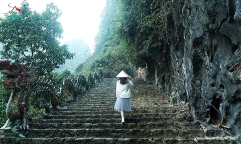 Tour Du xuân 2023: Tour Hoa Lư - Tam Cốc - Hang Múa 1 ngày