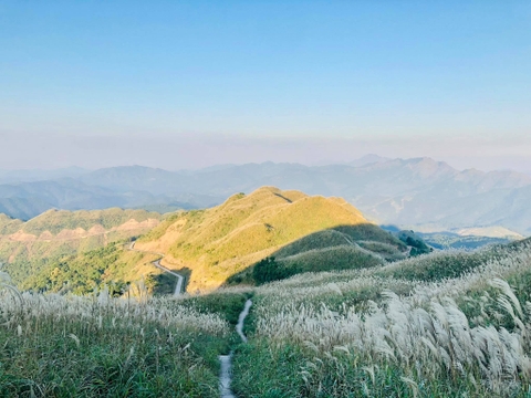 Du lịch Bình Liêu mùa hoa lau tháng mấy