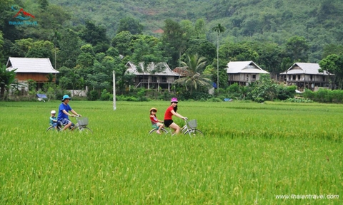 Tour Mai Châu - Mộc Châu 2 ngày 1 đêm khởi hành từ Hà Nội