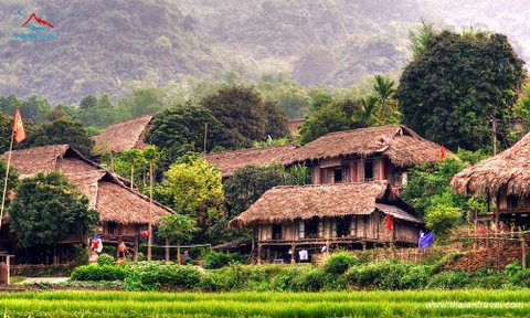 TOUR MỘC CHÂU TẾT NGUYÊN ĐÁN 3 NGÀY 2 ĐÊM TỪ HÀ NỘI